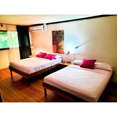 Cabinas Coconut Grove Puerto Viejo de Talamanca Екстериор снимка