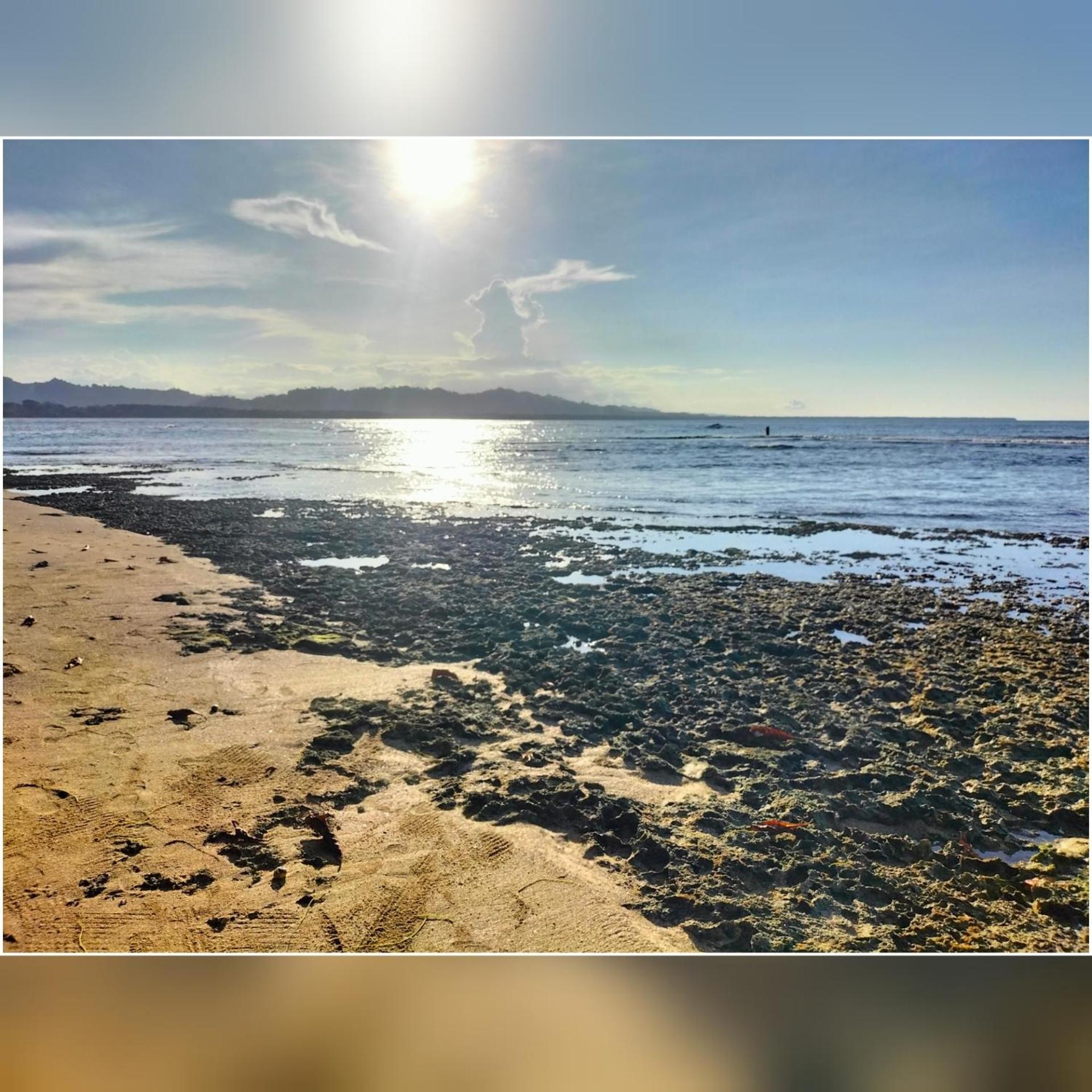 Cabinas Coconut Grove Puerto Viejo de Talamanca Екстериор снимка